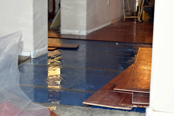 Professional Sewage Cleanup technician working in New Virginia, IA